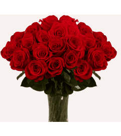 50 Red roses. An arrangement by La Bolsa Rosa.