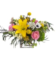 The Lolly. An arrangement by Vanessa's Flower Shop.