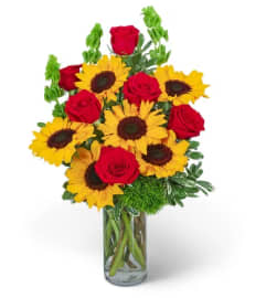 Sunflower Rosy and Glow. An arrangement by Salinas Floral and Gifts.