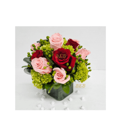 Colorful Paradise Cube. An arrangement by Brickell Exclusive Blooms.