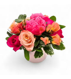 Vibrant Biss. An arrangement by Appleblossoms Flowers Gifts and More.