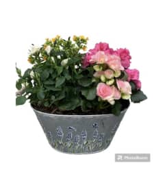 Locally made Mothers Day Planter. An arrangement by Flowers By Gerry.