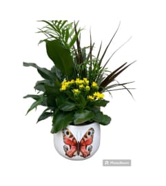 Locally made Mothers Day Planter. An arrangement by Flowers By Gerry.