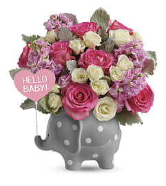 Hello Baby Girl. An arrangement by Fink Flowers, Gifts and Flower Delivery.