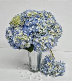 Tenderness Blue Hydrangeas. An arrangement by Brickell Exclusive Blooms.