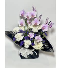 Orchid Arrangement. An arrangement by Charming Blooms.