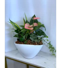 Eileen Planter. An arrangement by Roma James Gifts.