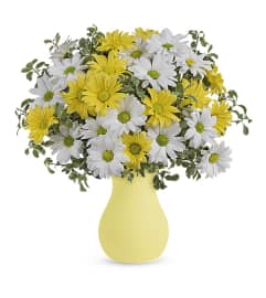 Daisy Sunny Bouquet. An arrangement by Flowers and Beyond.