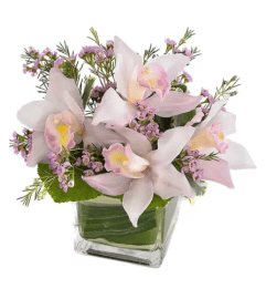 Lovely Orchids. An arrangement by Flowers and Beyond.