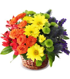Rainbow. An arrangement by Flowers and Beyond.
