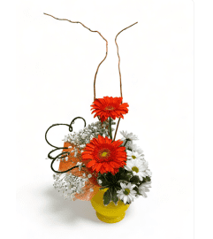 Wondrous Wishes - Orange and Yellow. An arrangement by Balloon Bouquets Plus.
