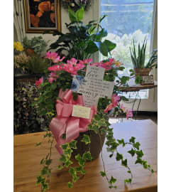 Remembrance Rose Bush. An arrangement by Dupree's Root 88 Garden Center and Florist.