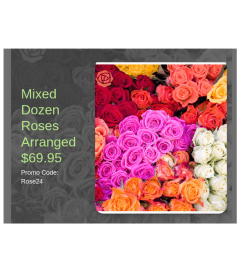 Dozen Mixed Roses. An arrangement by Donato's Floral.
