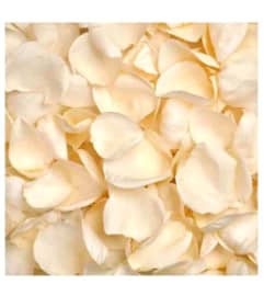Fresh Ivory Rose Petals. An arrangement by Flowers and Beyond.