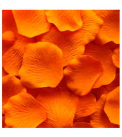 Fresh Orange Rose Petals. An arrangement by Flowers and Beyond.