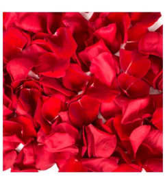 Fresh Red Rose Petals. An arrangement by Flowers and Beyond.