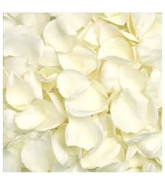 Fresh White Rose Petals. An arrangement by Flowers and Beyond.
