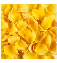 Fresh Yellow Rose Petals. An arrangement by Flowers and Beyond.
