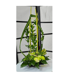 Green Emerald Zen. An arrangement by Aventura Blooming Petals.