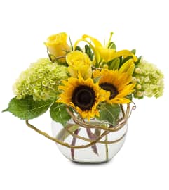 Sunshine Rays. An arrangement by Deer Valley Florist and Flower Delivery.