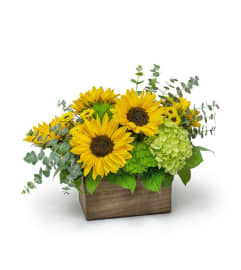 Sunflower Wood Box. An arrangement by Flowers and Beyond.