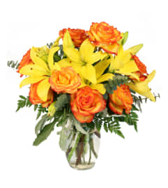 Vivid Amber by FSN. An arrangement by Roma James Gifts.