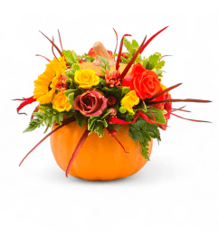 Seasonal Pumpkin. An arrangement by Appleblossoms.