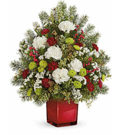 Radiant Winter Tree. An arrangement by Jennifer's Flowers and Gifts.