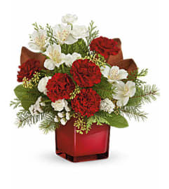 Scarlet Splendor. An arrangement by Jennifer's Flowers and Gifts.