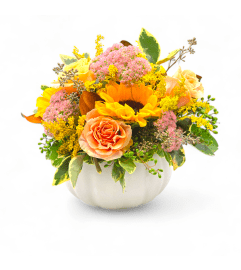 Wondrous White Pumpkin. An arrangement by Appleblossoms.