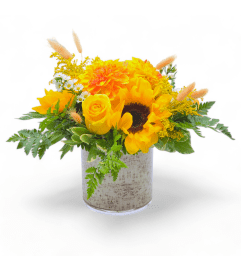 Sunshine Delight Bouquet. An arrangement by Appleblossoms.
