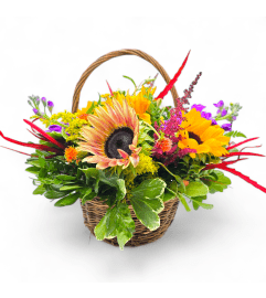Seasonal Basket. An arrangement by Appleblossoms.
