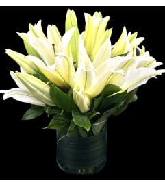 Treasured White Lillies. An arrangement by Hours of Flowers.