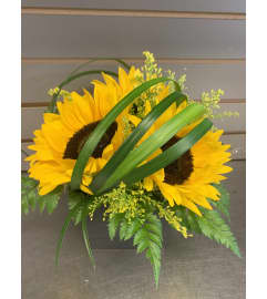 Sunny sunflowers. An arrangement by DMP Flowers and Gifts.