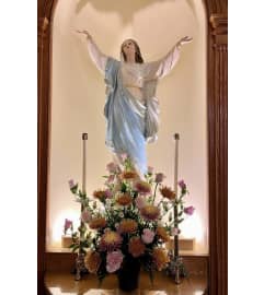 UPGRADED Flowers for Mary at Altar 31W X 24H 6 POT + grns $20. An arrangement by Flowers by Priscilla.