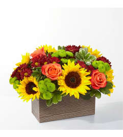 LOG CABIN FOR FALL. An arrangement by Last Minute Gifts and Flowers. LOG CABIN FOR FALL. An arrangement by Last Minute Gifts and Flowers.