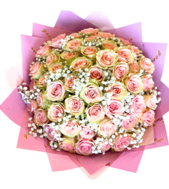 Blushing Pink Buchon Bouquet. An arrangement by Colors Flowers and Gifts. Blushing Pink Buchon Bouquet. An arrangement by Colors Flowers and Gifts.
