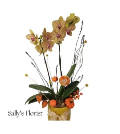 Sally's Fall Orchid 2024. An arrangement by Jimmy's Flower Shop.