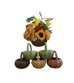Florist’s Choice Pumpkin Arrangement – Autumn Elegance in Bloom. An arrangement by La Bolsa Rosa.