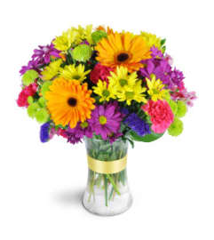 radiant rainbow vase arrangement. An arrangement by Nicol Florist.