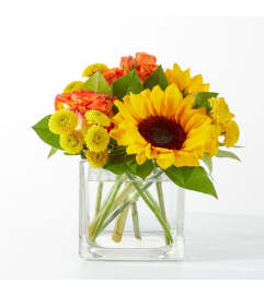 Picnic in the Park (FTD). An arrangement by North Liberty Flower Shop.