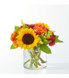 Flannel Scarf Bouquet (FTD). An arrangement by North Liberty Flower Shop.