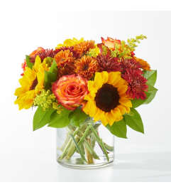 Flannel Scarf Bouquet (FTD). An arrangement by North Liberty Flower Shop.