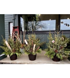 Designers Choice - Outdoor Winter Porch Pot. An arrangement by The Farm and Floral Market.