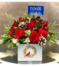 Comfort and Joy. An arrangement by Say It With Flowers.