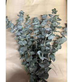 Eucalyptus Bundles. An arrangement by KW Flowers.