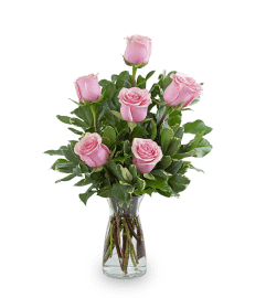 Pink Roses (6). An arrangement by The Flower Shop of Lake Charles.