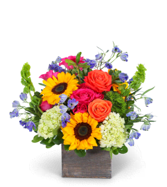 Valencia Harmony. An arrangement by The Flower Shop of Lake Charles.