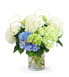 Hello, Hydrangea!. An arrangement by The Flower Shop of Lake Charles.