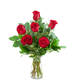 Red Roses (6). An arrangement by The Flower Shop of Lake Charles.